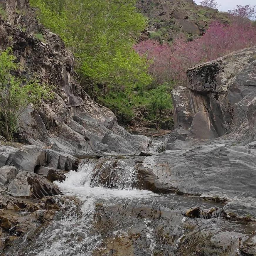 دره ارغوان - Image 1