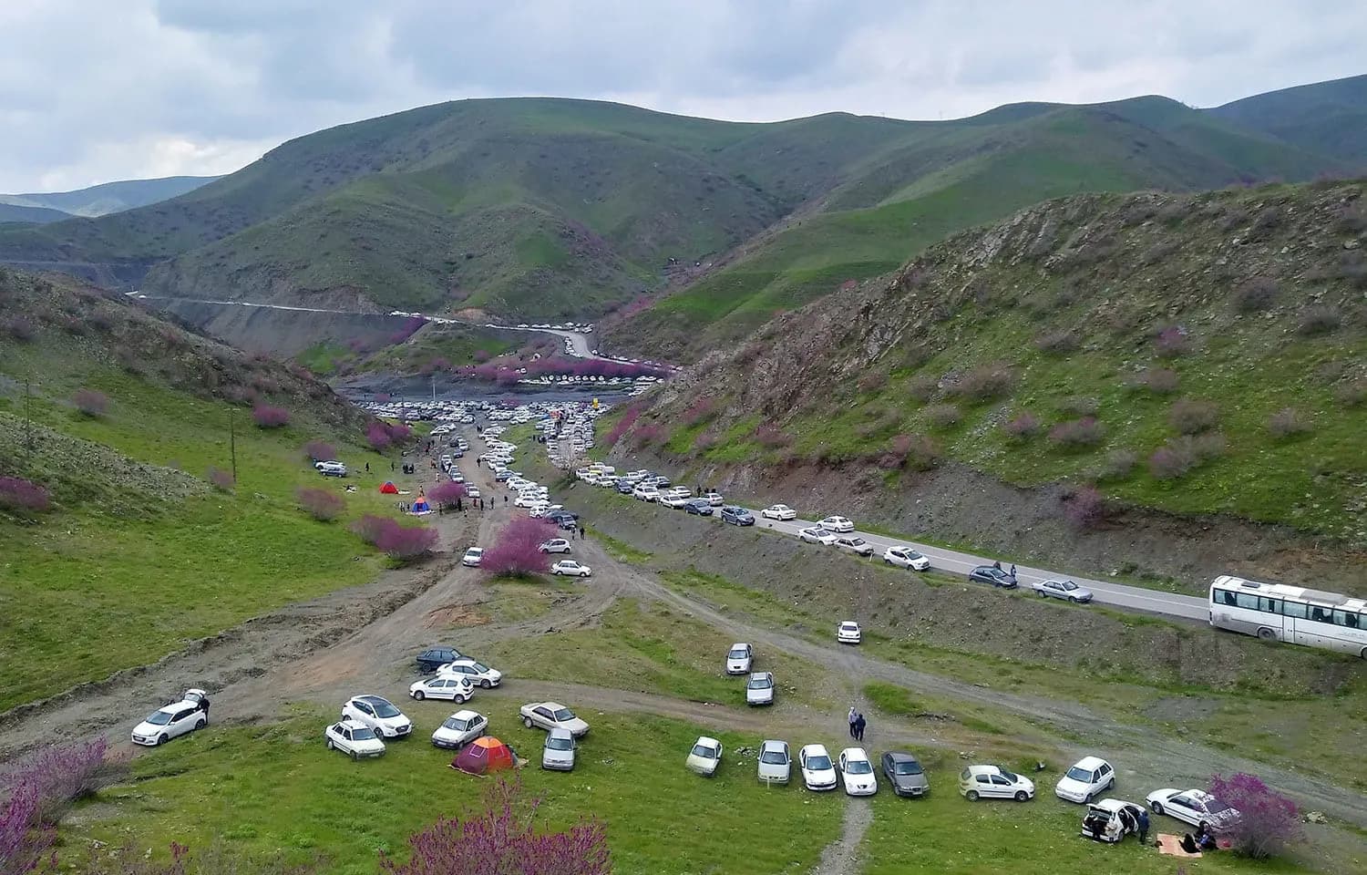 دره ارغوان - Image 2