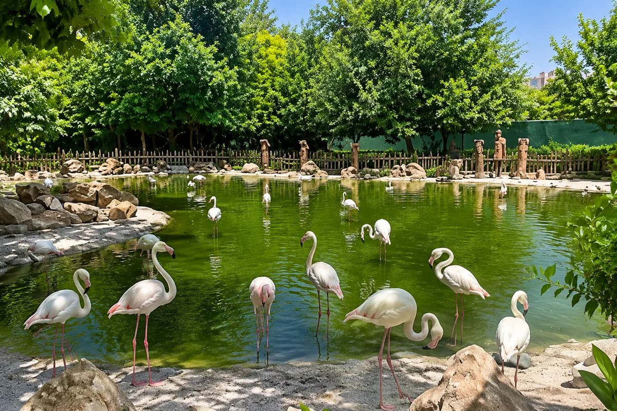 باغ پرندگان