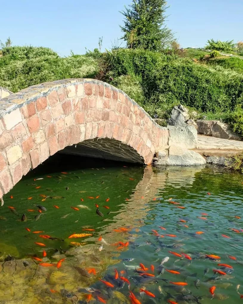 باغ گیاهشناسی مشهد - Image 1