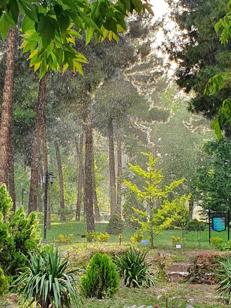 باغ گیاهشناسی مشهد - Image 3