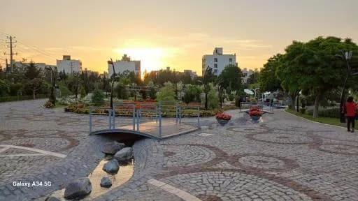 باغ گلها  - Image 5