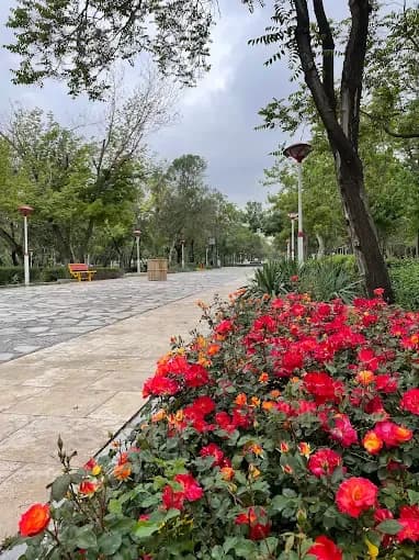 حديقة السيدات ريحانة - Image 4