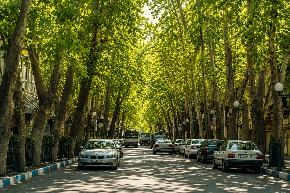 طرقبه