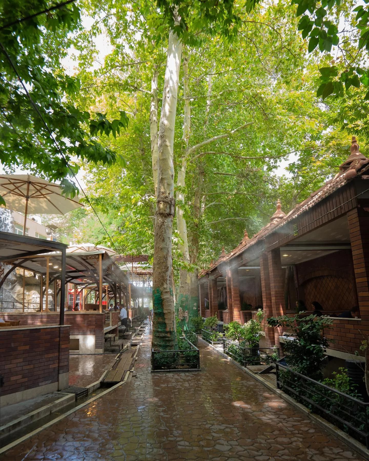 رستوران ارم - Image 18