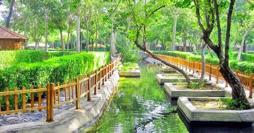 vakil abad park - Image 3