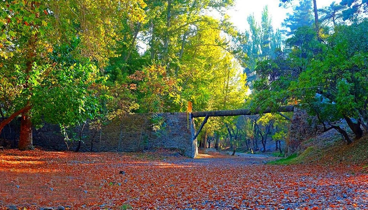 vakil abad park - Image 4